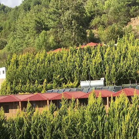 Sifa Tarlasi/ Heilgarten/ Healgarden Homestay szállás Alanya